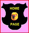 HOME PAGE ICON